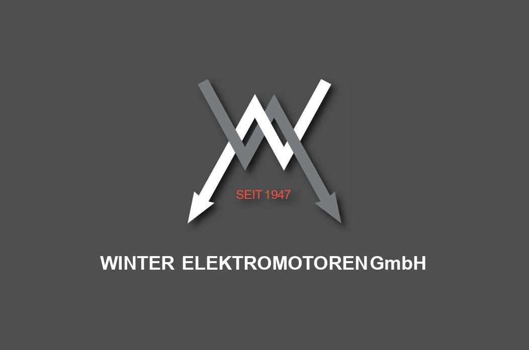 Winter_Elektro
